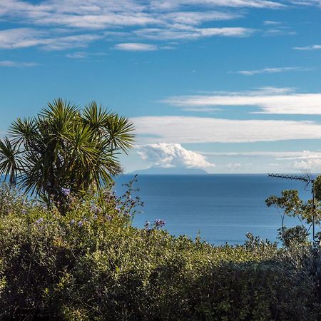 Belle View - Stay Waiheke Onetangi Esterno foto